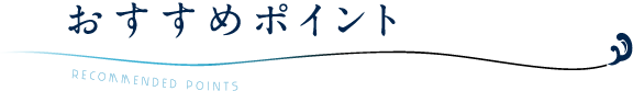 おすすめポイント