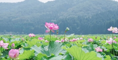 Nanjo (Village)