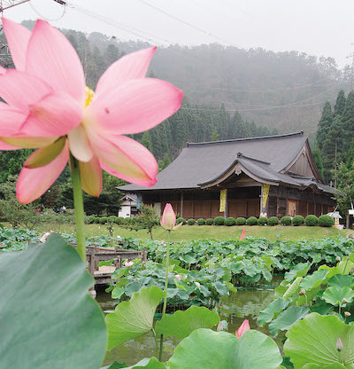 About Hanahasu Park