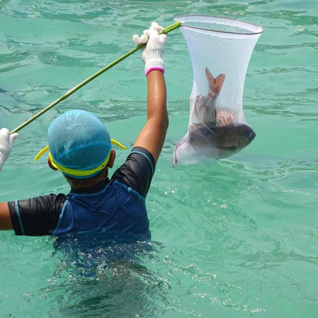 魚と運動会