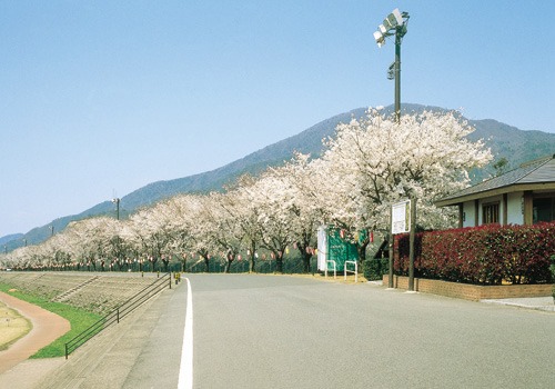 南条彩虹公園