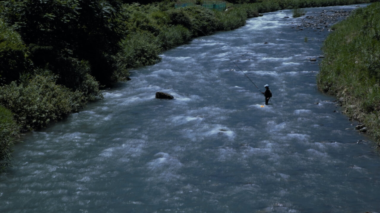 Hino River Ayu (Sweetfish) Fishing