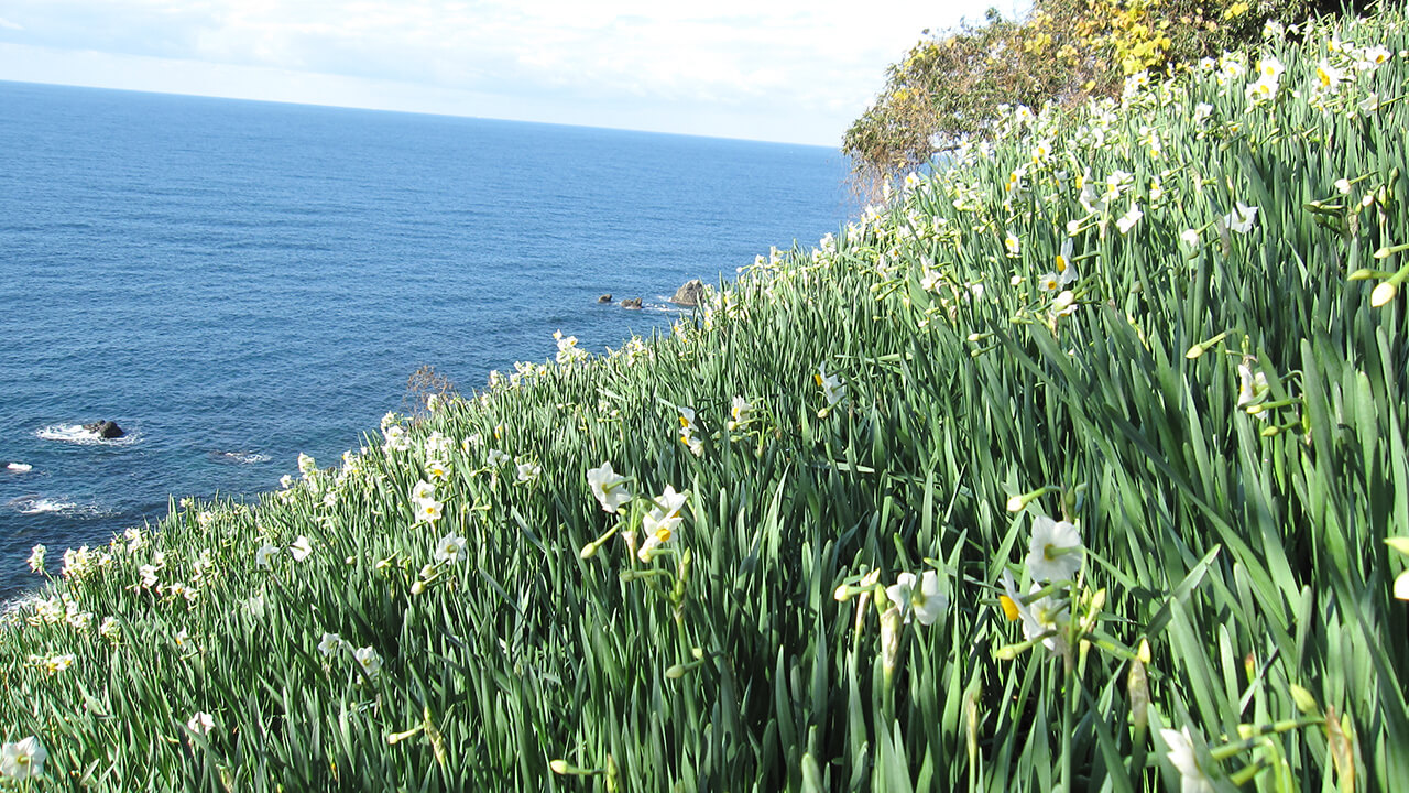 Echizen Coast