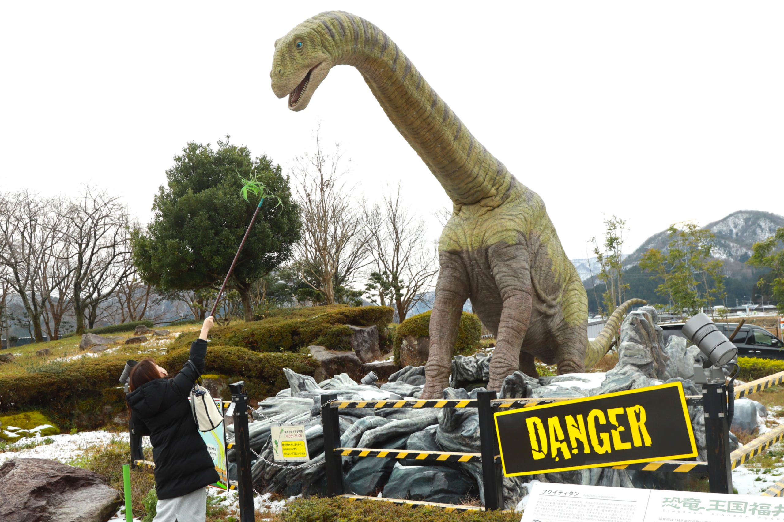 福井県の真ん中、南越前町には恐竜がいっぱい。オブジェやお土産まで